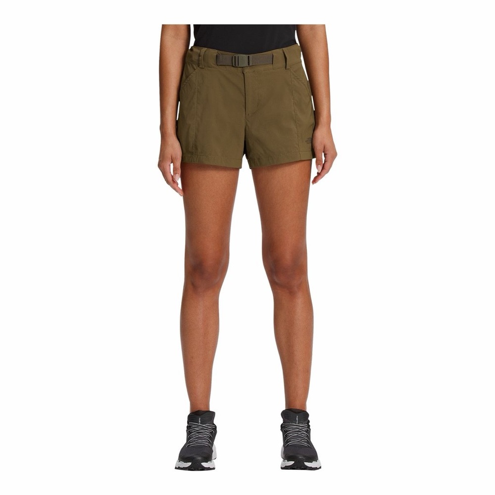 TNF Paramount Shorts